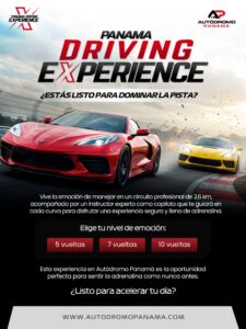 DRIVING EXPERIENCE